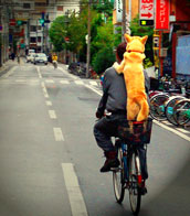Man giving his dog a piggy back
