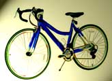 Denali women's road bike 