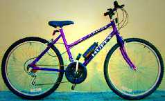 Blade Bike