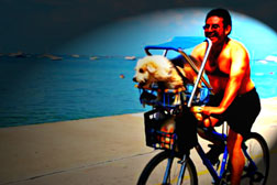 Man and his dog riding by the sea