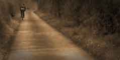Tarmac Road