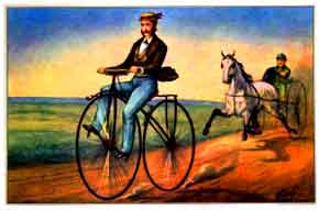 Velocipede Bicycle Poster