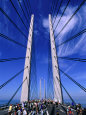 Cycling Day on Oresund Bridge, Copenhagen, Denmark