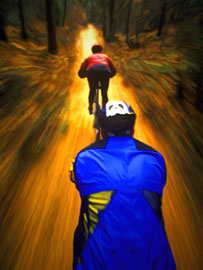 Cyclists in convoy