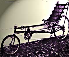 avatar 2000 recumbent bicycle