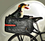 rear-black-bicycle-dog-carrier