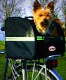 scotty-dog-in-bicycle-dog-carrier
