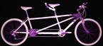 sport tandem bike