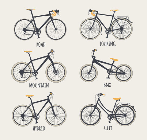 Bicycle Guide